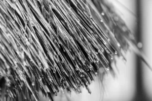 Cepillos metálicos vs plásticos